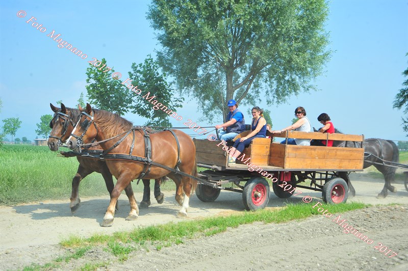 DSC_0817.JPG